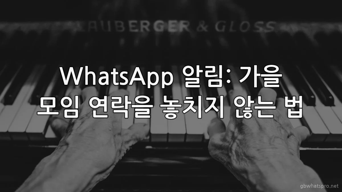 WhatsApp 알림: 가을 모임 연락을 놓치지 않는 법