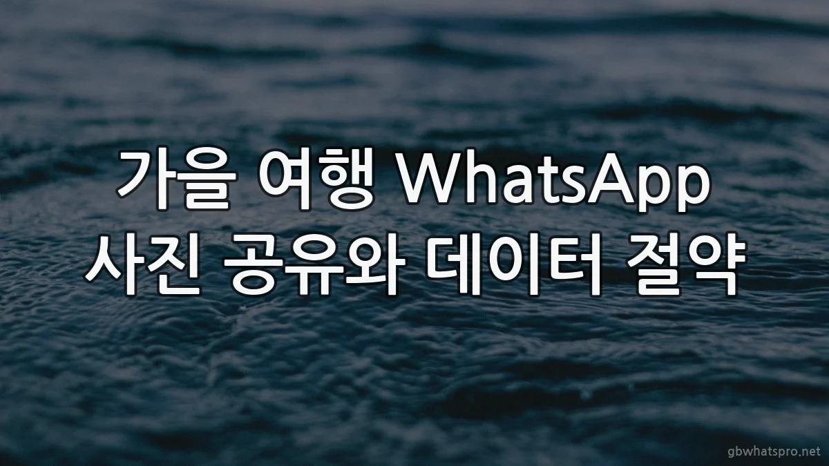 가을 여행 WhatsApp 사진 공유와 데이터 절약
