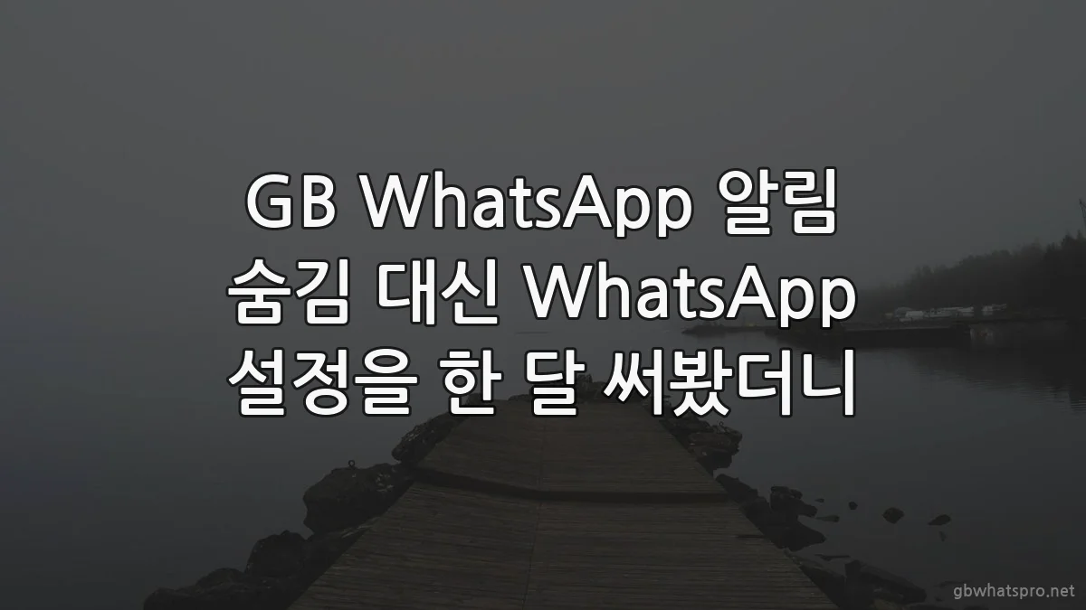 GB WhatsApp 알림 숨김 대신 WhatsApp 설정을 한 달 써봤더니