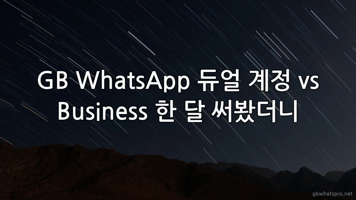 GB WhatsApp 듀얼 계정 vs Business 한 달 써봤더니