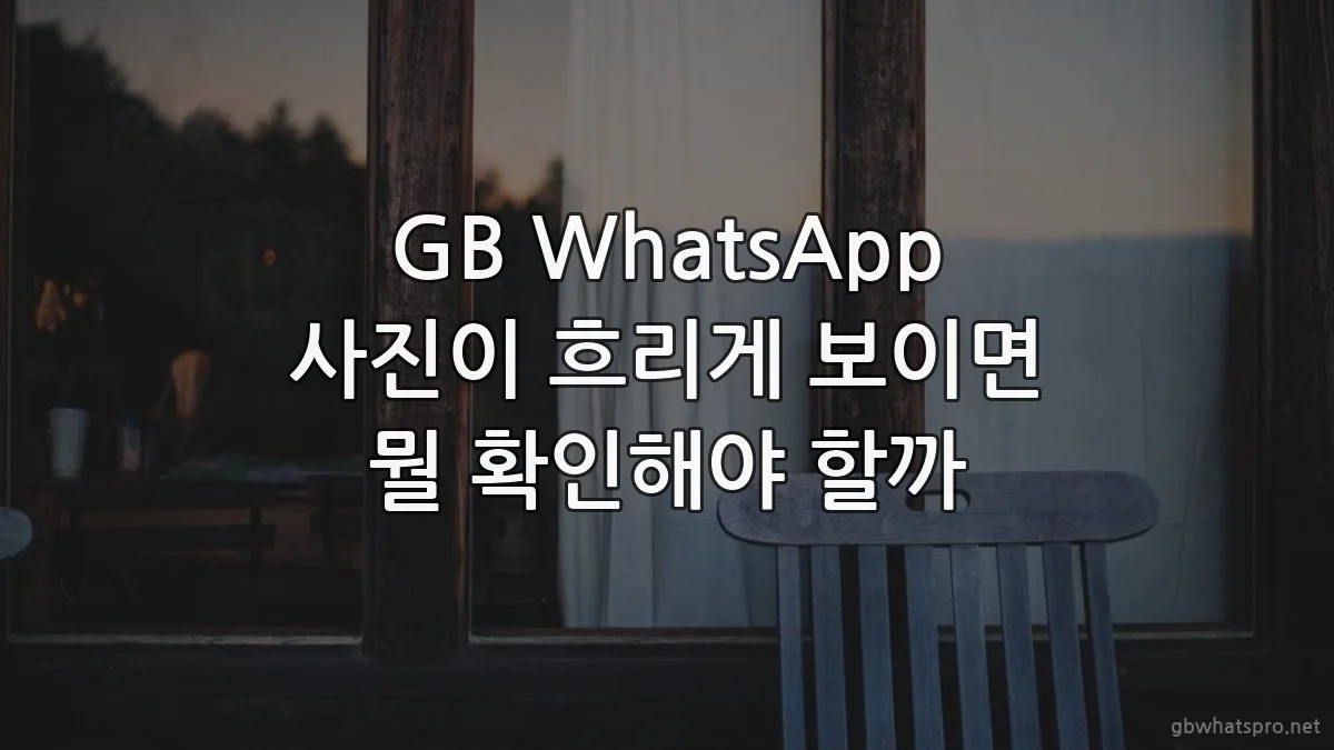 GB WhatsApp 사진이 흐리게 보이면 뭘 확인해야 할까