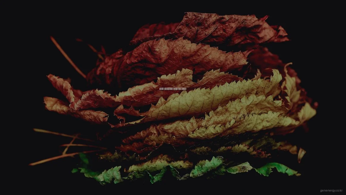 예산별 신재생에너지 솔루션 추천 가이드