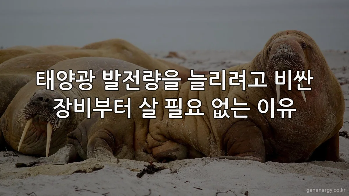 태양광 발전량을 늘리려고 비싼 장비부터 살 필요 없는 이유