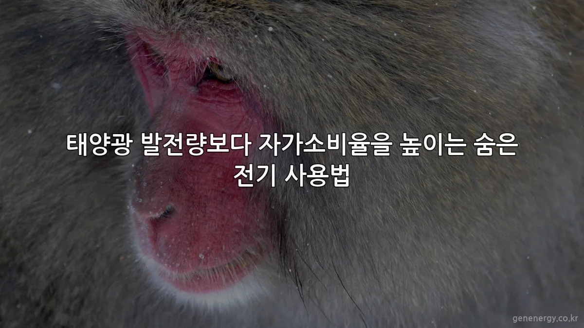 태양광 발전량보다 자가소비율을 높이는 숨은 전기 사용법