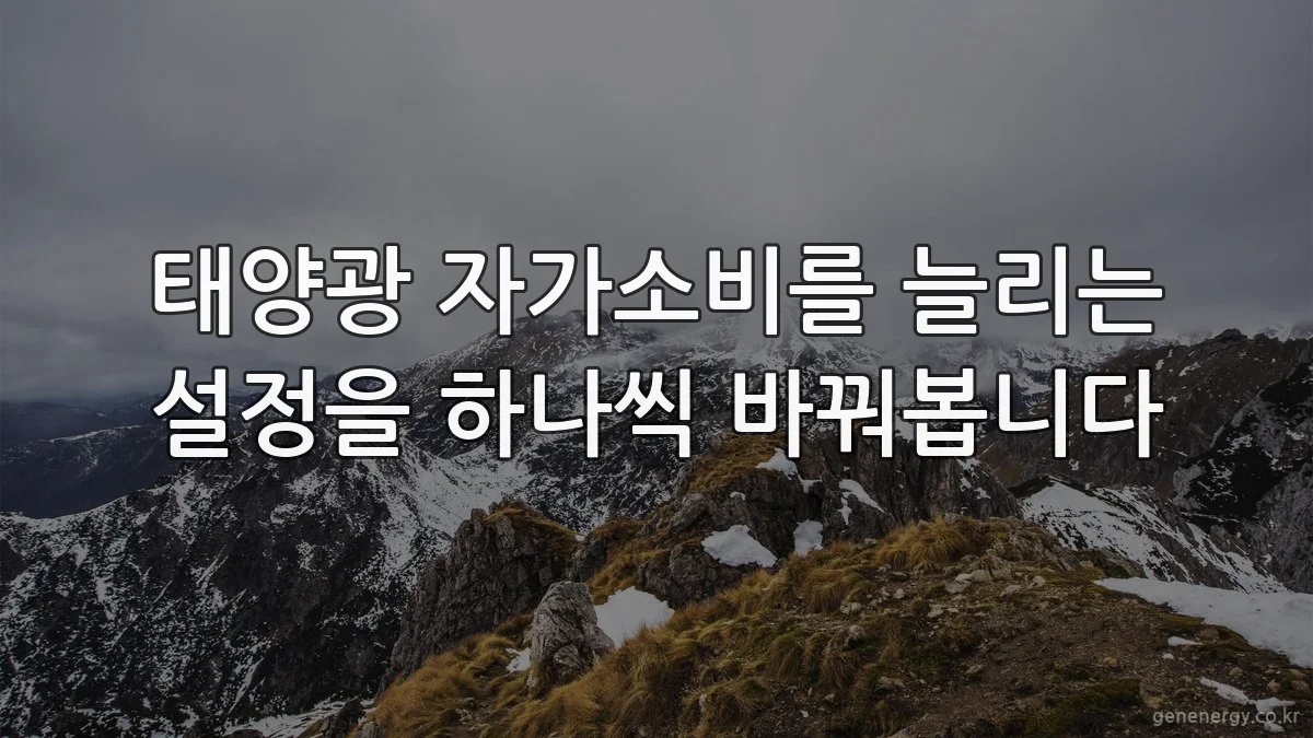 태양광 자가소비를 늘리는 설정을 하나씩 바꿔봅니다