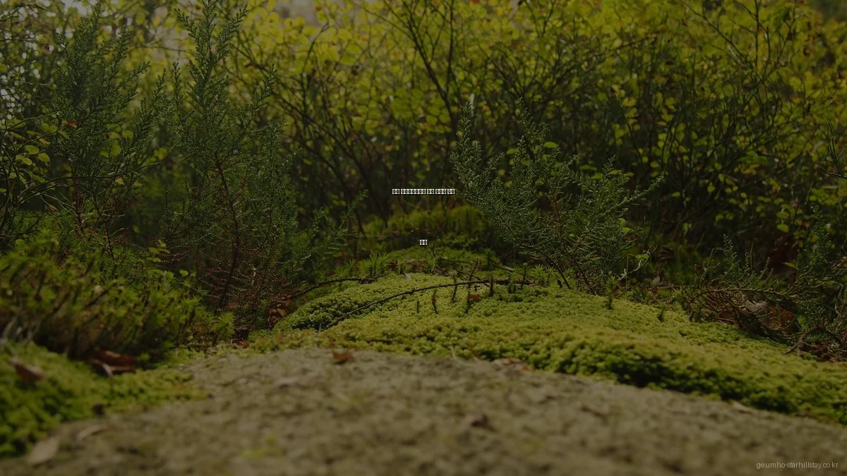 금호 스타힐스테이와 인근 아파트 비교 분석