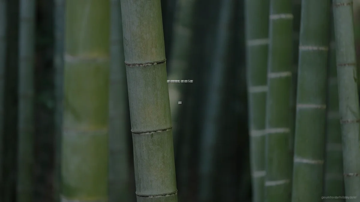 금호 스타힐스테이, 생활 꿀팁 5가지 공개