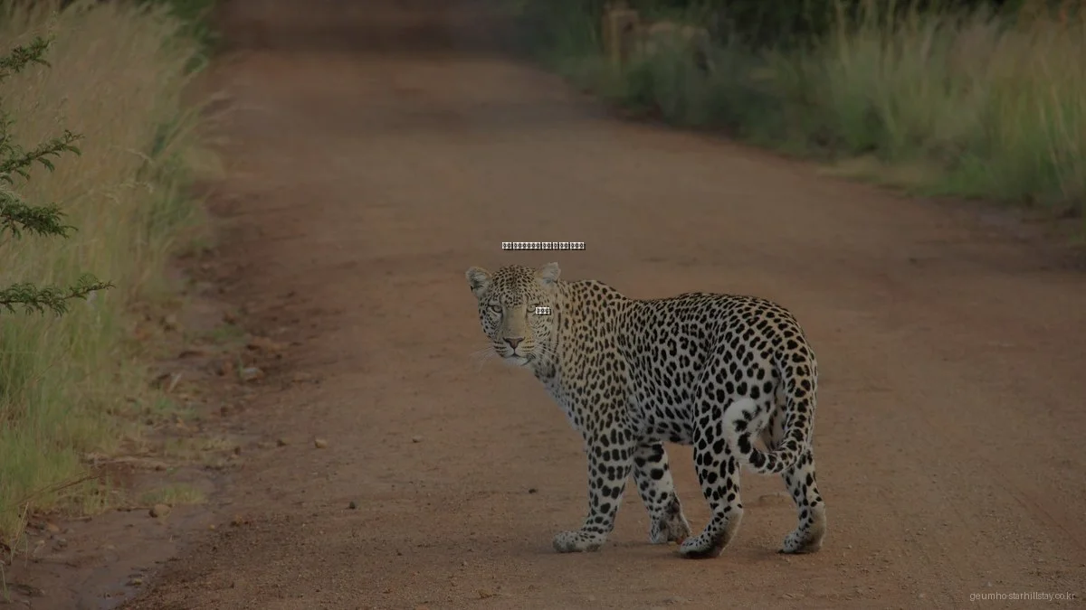 금호 스타힐스테이 분양 시 실수 사례와 극복법