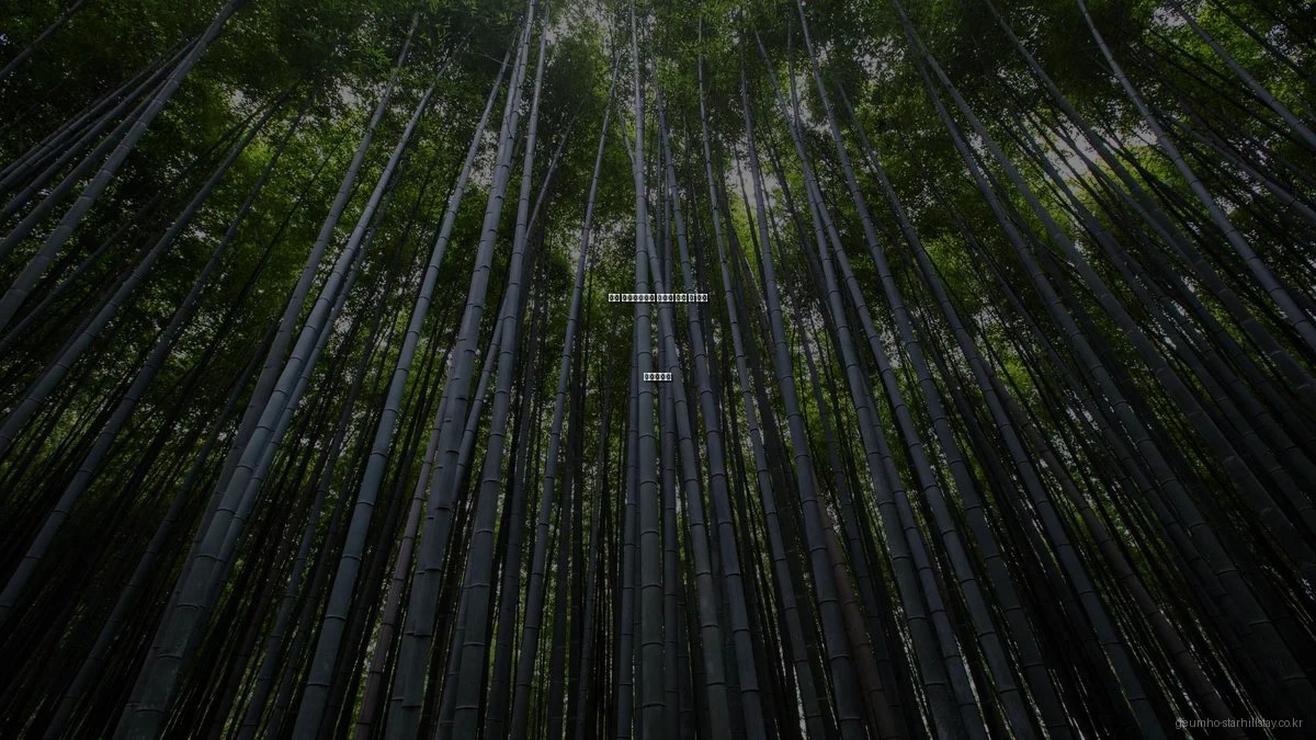 금호 스타힐스테이 아파트 구매 전 필수 체크리스트