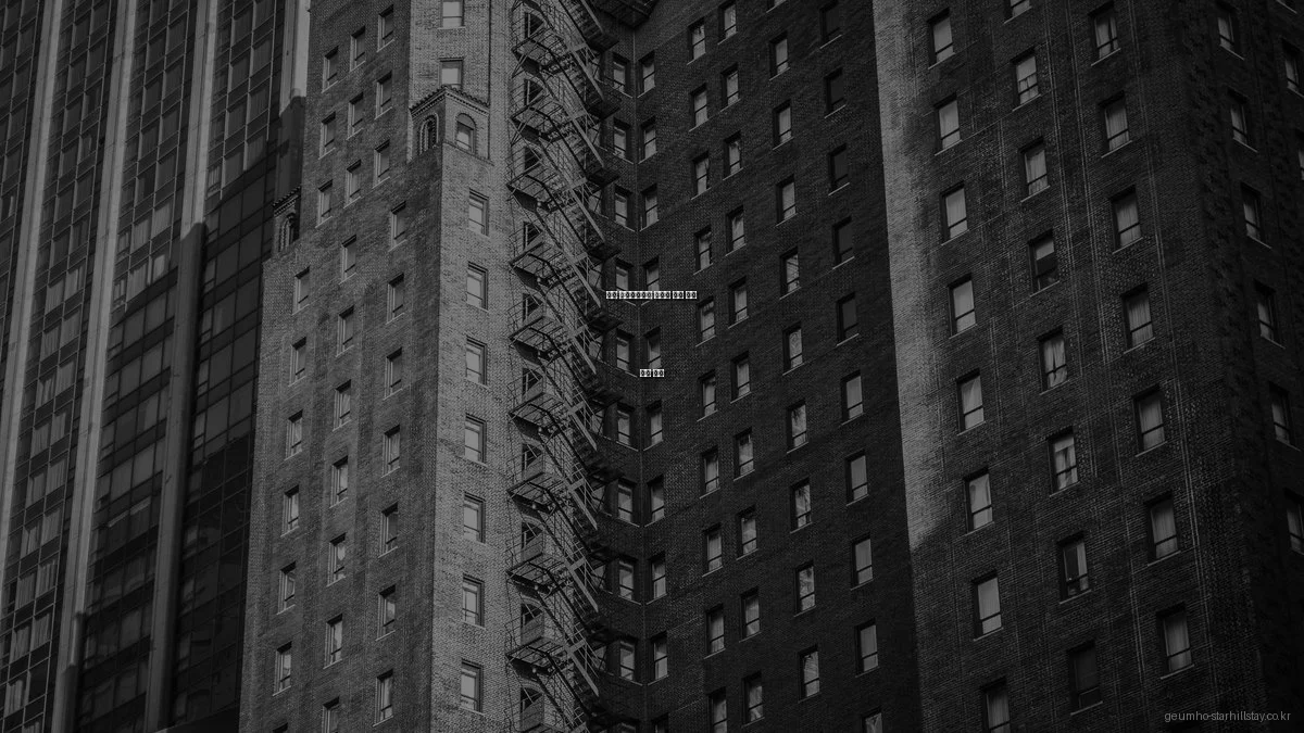 금호 스타힐스테이 아파트 주변 학군 비교 분석