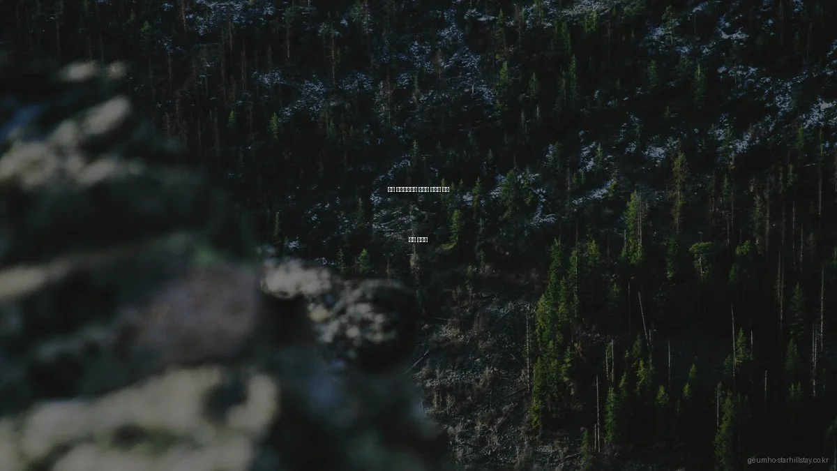 금호 스타힐스테이 예산별 아파트 분양 추천 가이드