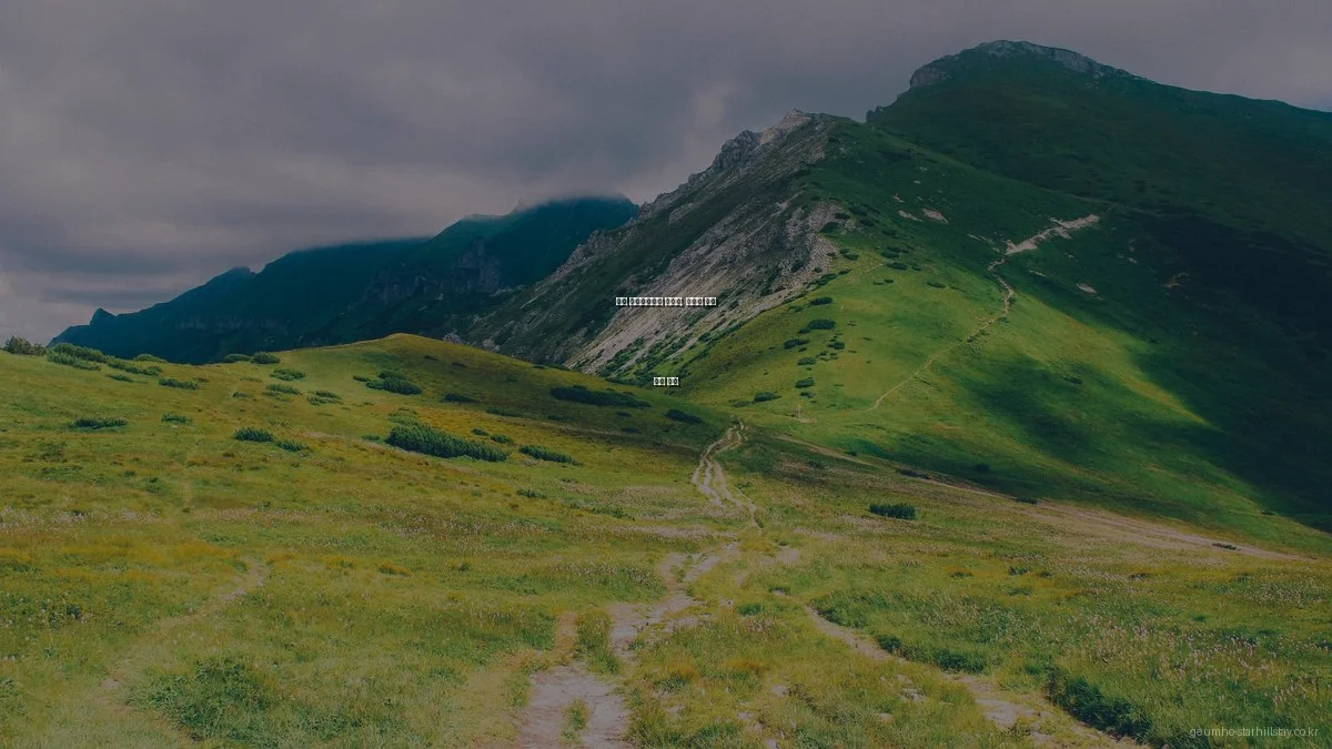 금호 스타힐스테이 아파트, 숨겨진 활용 꿀팁 모음