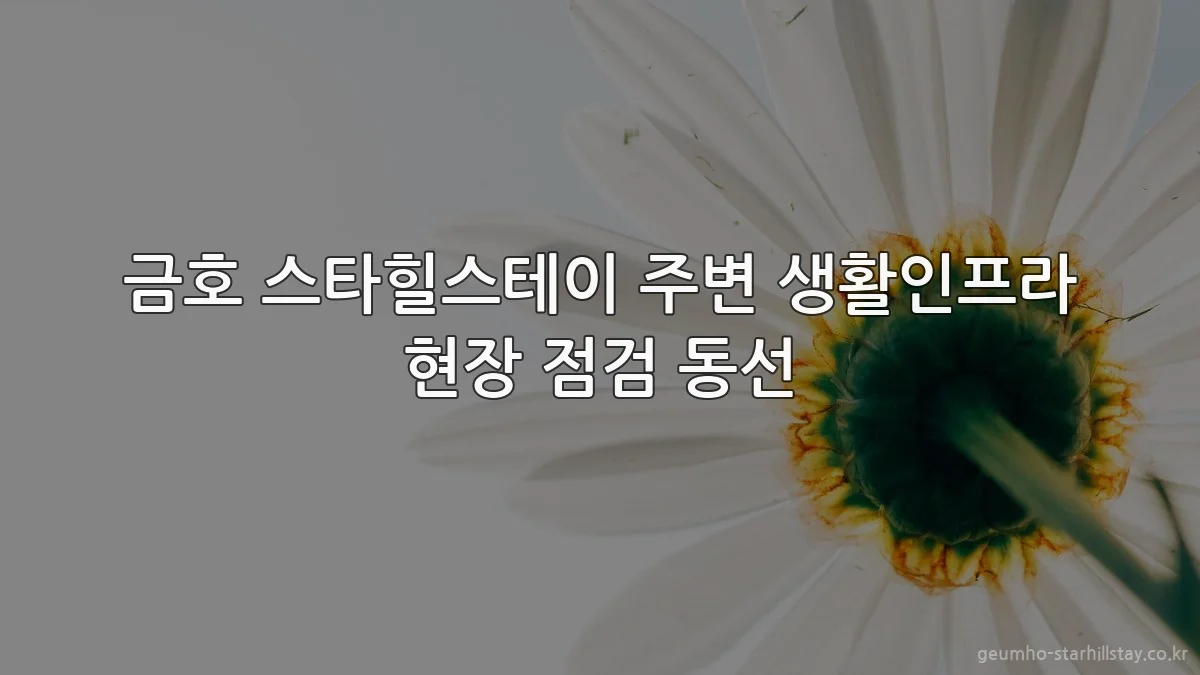 금호 스타힐스테이 주변 생활인프라 현장 점검 동선