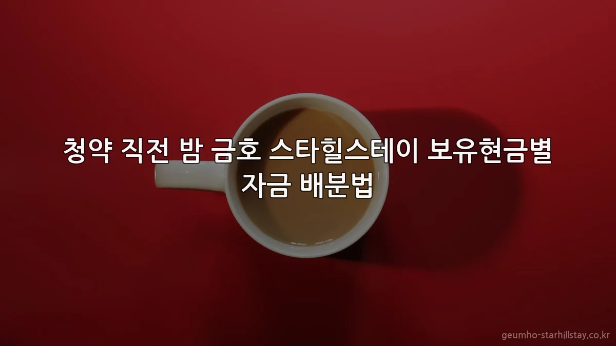 청약 직전 밤 금호 스타힐스테이 보유현금별 자금 배분법