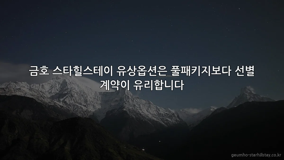 금호 스타힐스테이 유상옵션은 풀패키지보다 선별 계약이 유리합니다