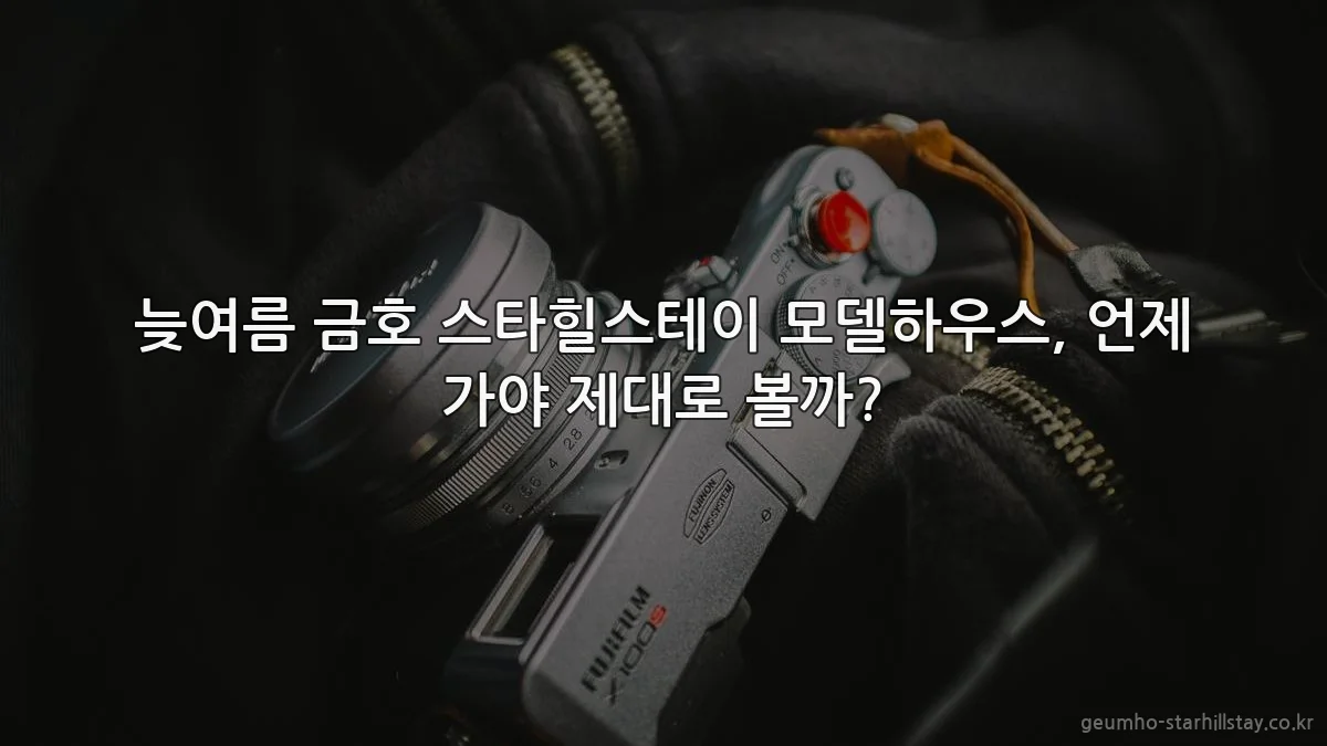 늦여름 금호 스타힐스테이 모델하우스, 언제 가야 제대로 볼까?