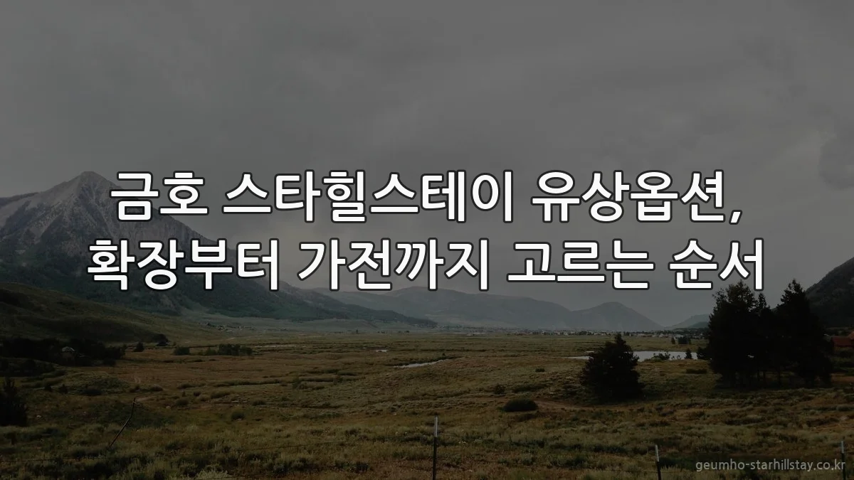 금호 스타힐스테이 유상옵션, 확장부터 가전까지 고르는 순서