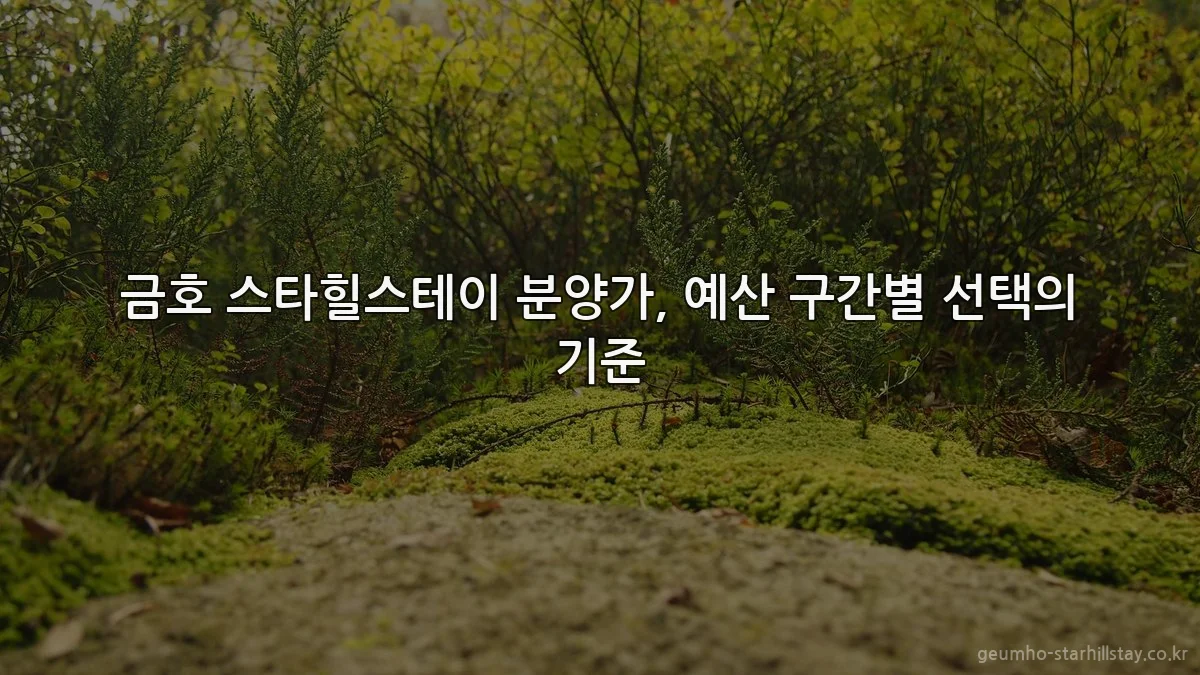금호 스타힐스테이 분양가, 예산 구간별 선택의 기준