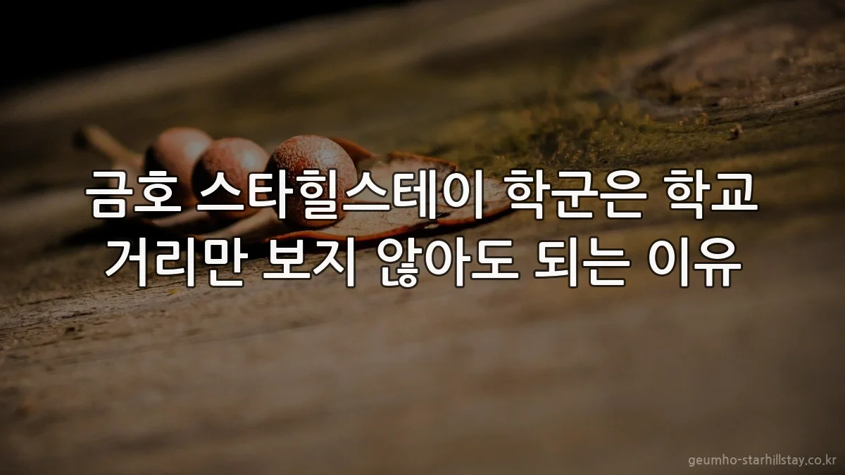 금호 스타힐스테이 학군은 학교 거리만 보지 않아도 되는 이유