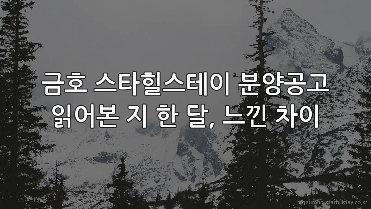 금호 스타힐스테이 분양공고 읽어본 지 한 달, 느낀 차이