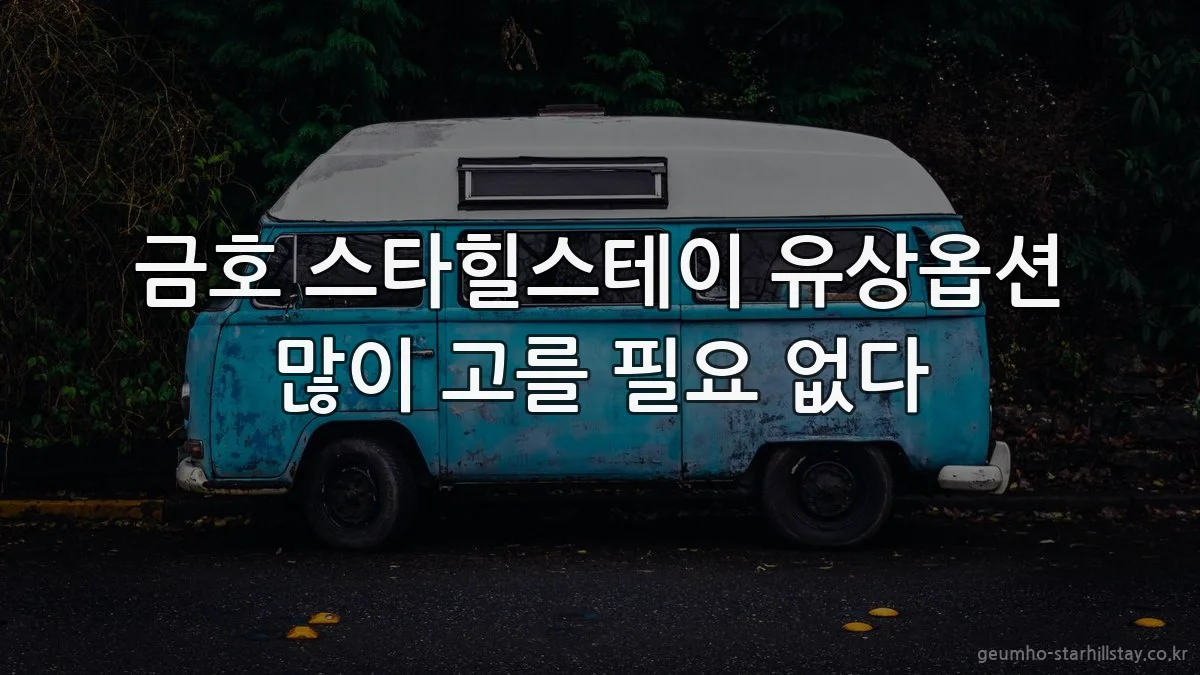금호 스타힐스테이 유상옵션 많이 고를 필요 없다