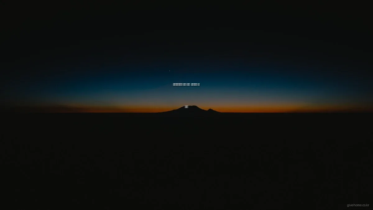 쉐어하우스의 진짜 매력: 경험담과 팁 공개