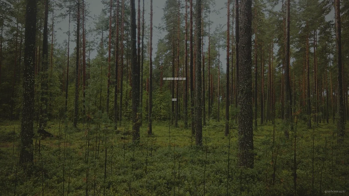 봄철 쉐어하우스 청소와 정리 꿀팁 대방출