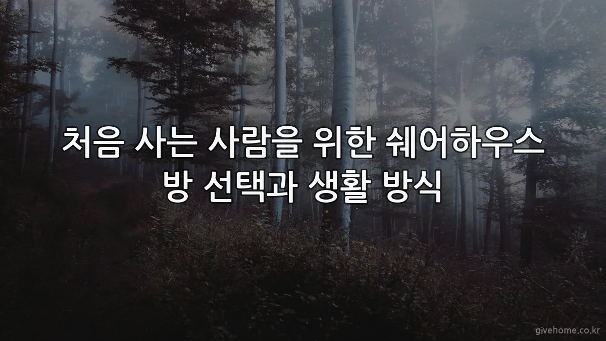 처음 사는 사람을 위한 쉐어하우스 방 선택과 생활 방식