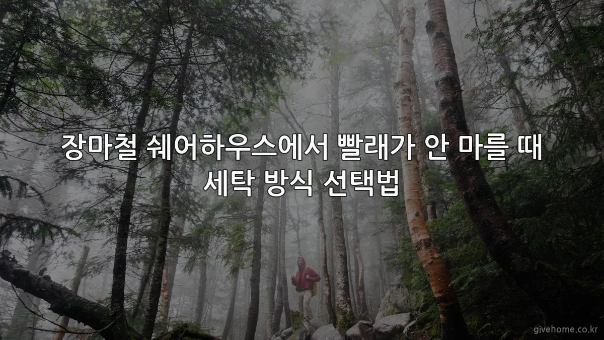 장마철 쉐어하우스에서 빨래가 안 마를 때 세탁 방식 선택법