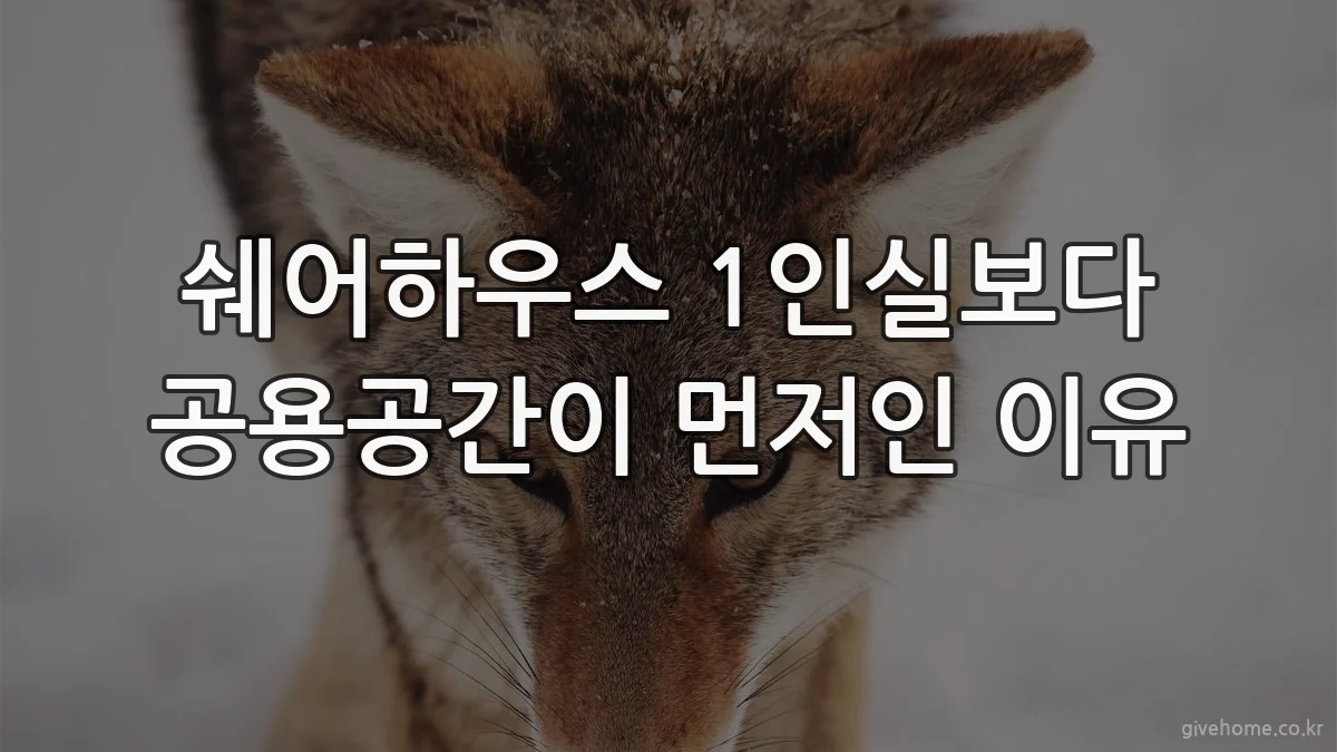 쉐어하우스 1인실보다 공용공간이 먼저인 이유