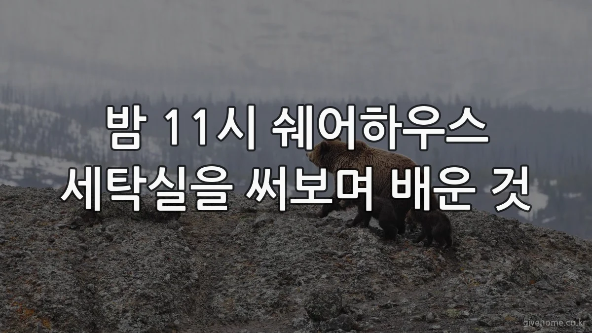 밤 11시 쉐어하우스 세탁실을 써보며 배운 것