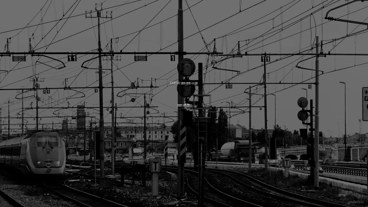 GMDW 맞춤형 서비스 vs 표준 솔루션: 비교 분석