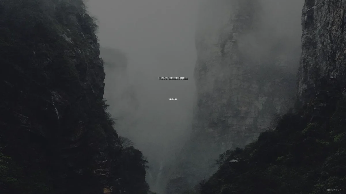 GMDW 맞춤형 서비스 5종 비교 및 추천 가이드