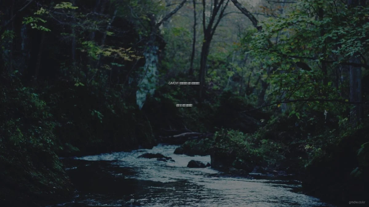 GMDW 이용자들을 위한 체크리스트: 구매 전 필수 확인사항