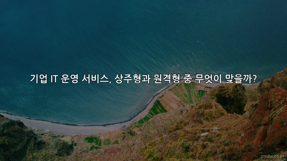 기업 IT 운영 서비스, 상주형과 원격형 중 무엇이 맞을까?