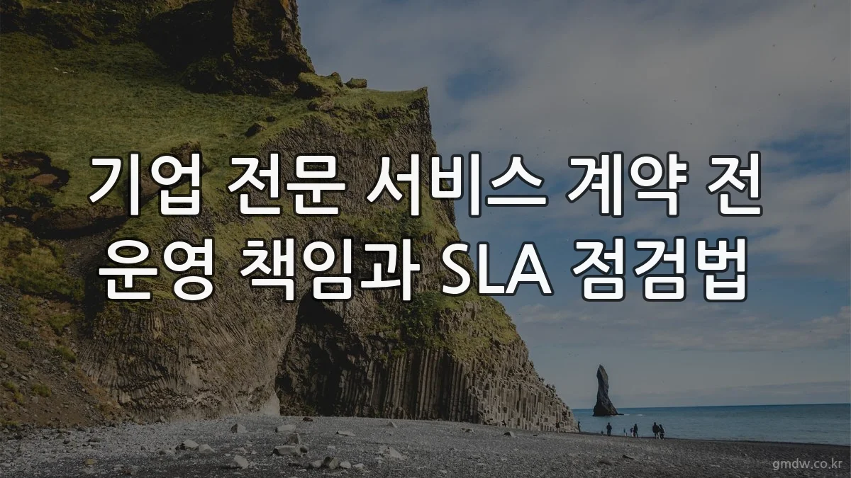 기업 전문 서비스 계약 전 운영 책임과 SLA 점검법