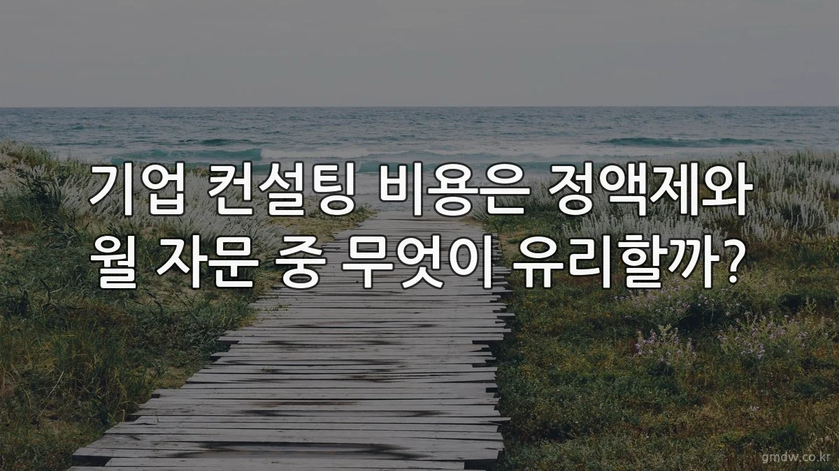 기업 컨설팅 비용은 정액제와 월 자문 중 무엇이 유리할까?
