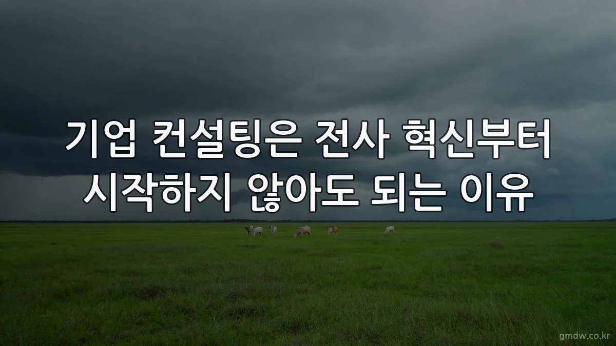 기업 컨설팅은 전사 혁신부터 시작하지 않아도 되는 이유