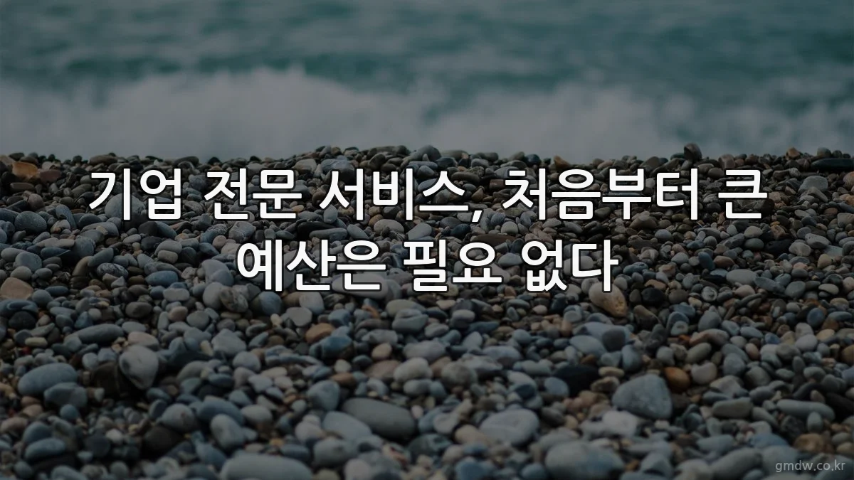 기업 전문 서비스, 처음부터 큰 예산은 필요 없다