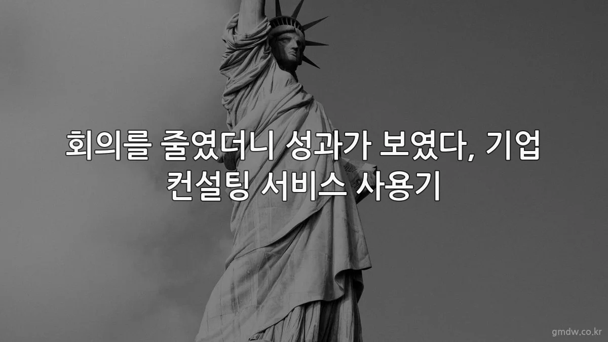 회의를 줄였더니 성과가 보였다, 기업 컨설팅 서비스 사용기