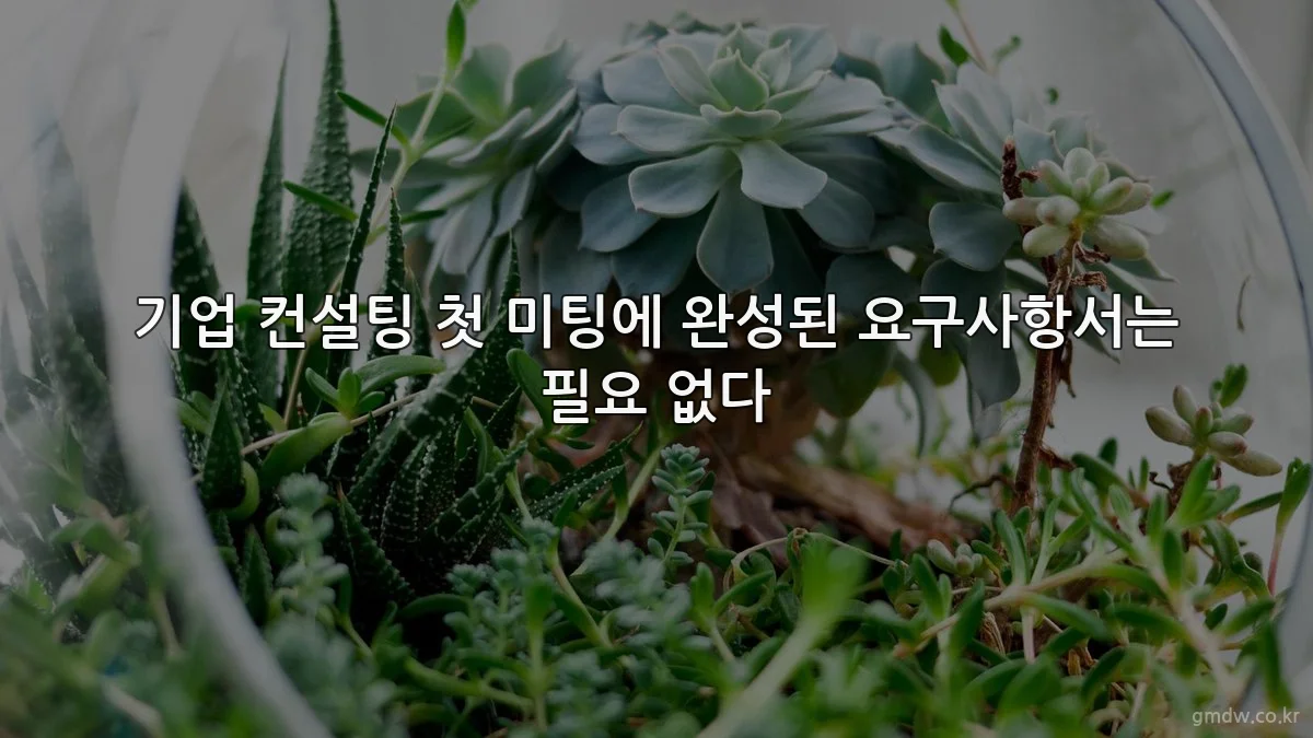 기업 컨설팅 첫 미팅에 완성된 요구사항서는 필요 없다