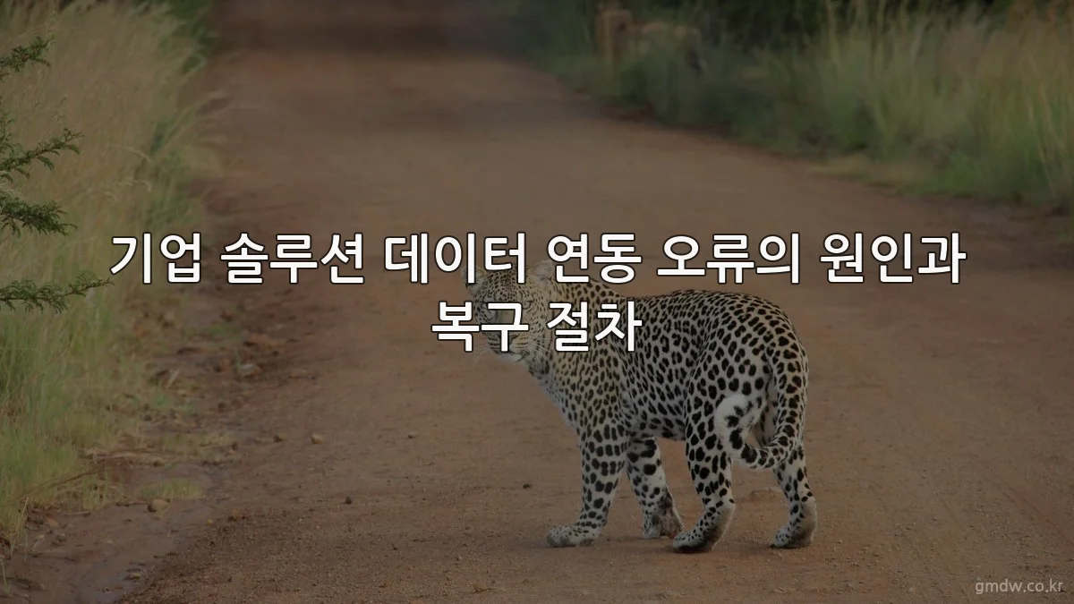 기업 솔루션 데이터 연동 오류의 원인과 복구 절차