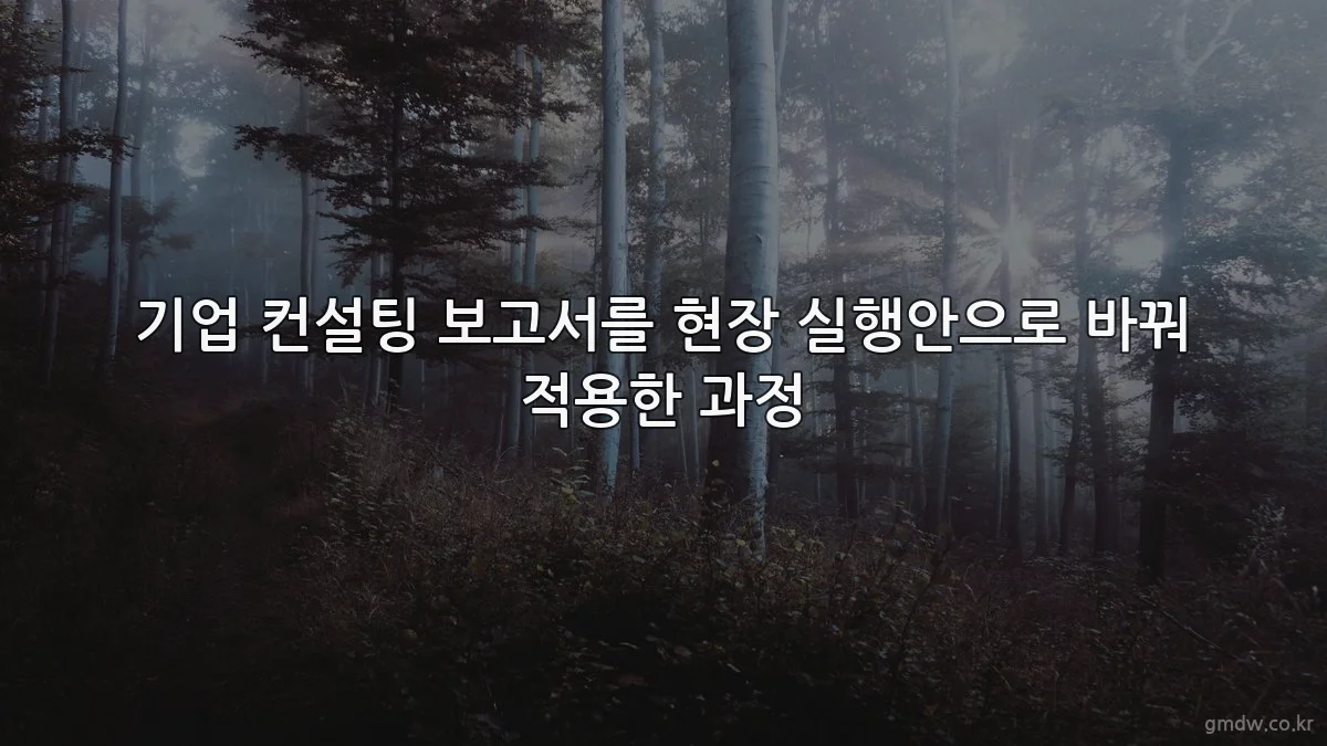 기업 컨설팅 보고서를 현장 실행안으로 바꿔 적용한 과정