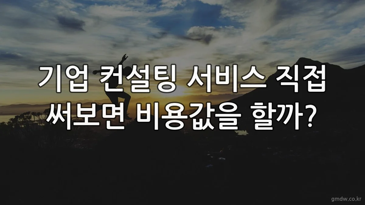 기업 컨설팅 서비스 직접 써보면 비용값을 할까?