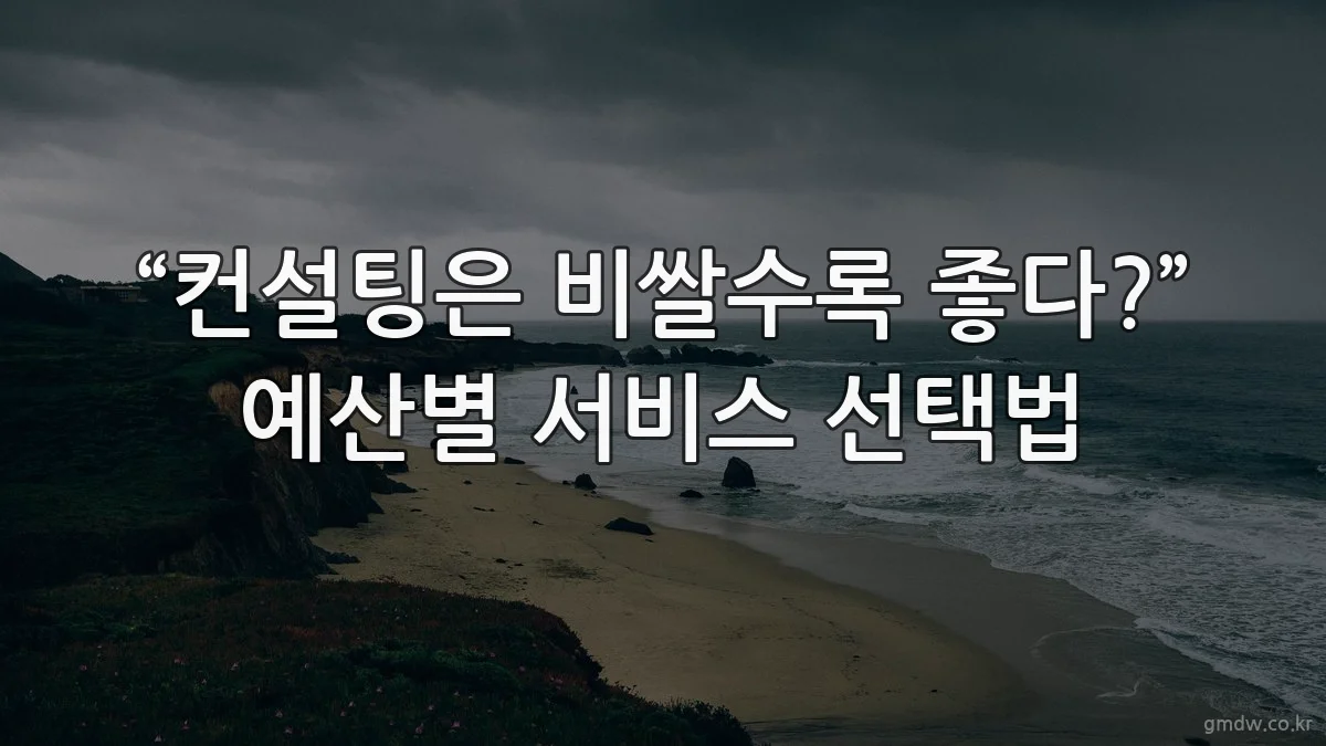 “컨설팅은 비쌀수록 좋다?” 예산별 서비스 선택법