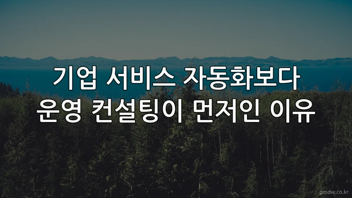 기업 서비스 자동화보다 운영 컨설팅이 먼저인 이유