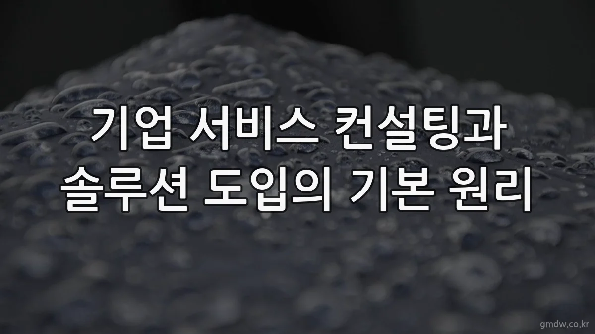 기업 서비스 컨설팅과 솔루션 도입의 기본 원리