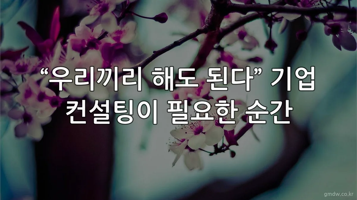 “우리끼리 해도 된다” 기업 컨설팅이 필요한 순간