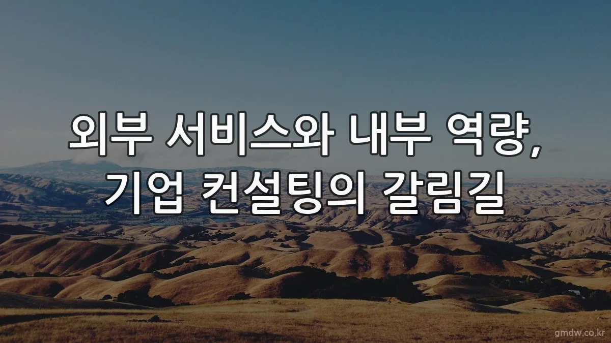 외부 서비스와 내부 역량, 기업 컨설팅의 갈림길