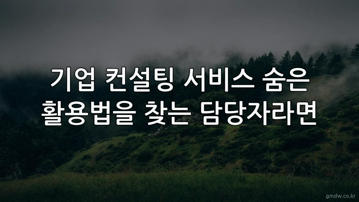 기업 컨설팅 서비스 숨은 활용법을 찾는 담당자라면